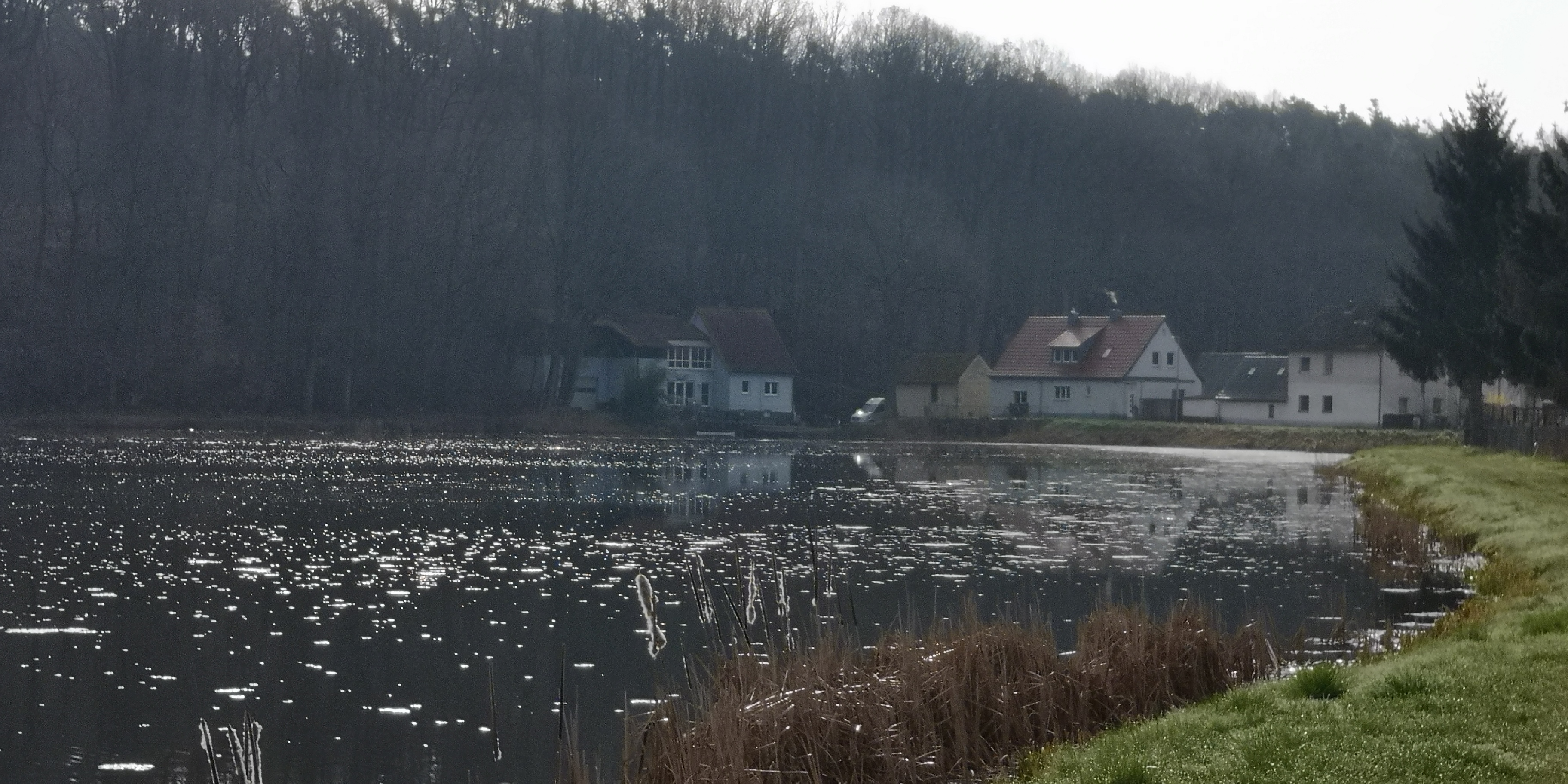 Ein Ortsteil von Höchstadt, idyllisch an einem Weiher gelegen, der schon fast an einen See erinnert.