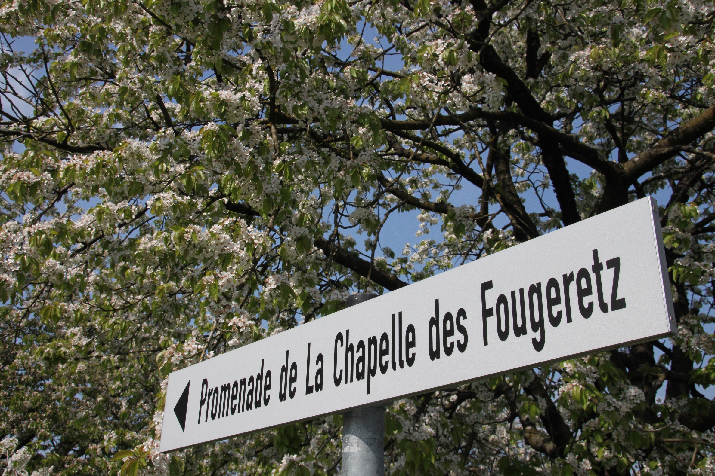 Wegweiser Promenade de la Chapelle des Fougeretz (Foto: Gemeinde Kalchreuth)