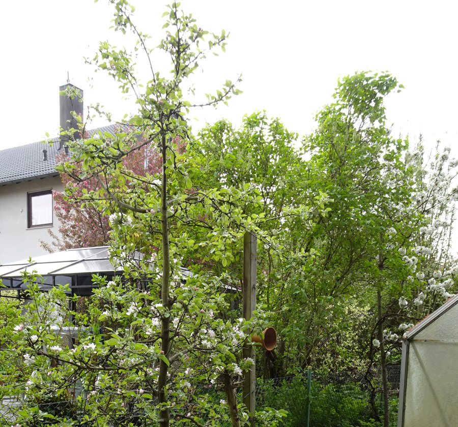 Garten der Familie Bachmayer in Eckental