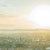 header HÖS Sonne.jpg