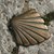 Jacobsweg_Jakobsmuschel__pixabay.jpg