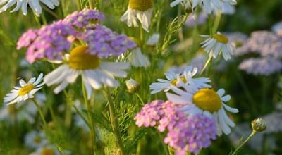 Leider haben wir keine weiteren Informationen zu diesem Link. Wir arbeiten daran und bitten um Ihr Verständnis.