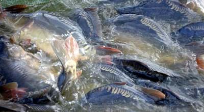 Leider haben wir keine weiteren Informationen zu diesem Link. Wir arbeiten daran und bitten um Ihr Verständnis.