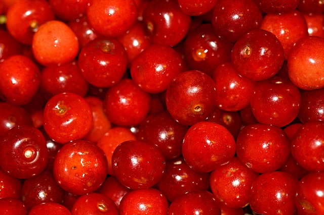 Kirschen_PublicDomainPictures_Pixabay).jpg Leider haben wir keinen Alternativtext zu diesem Bild, aber wir arbeiten daran.