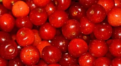 Kirschen_PublicDomainPictures_Pixabay).jpg Kirschen_PublicDomainPictures_Pixabay).jpg