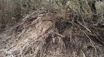 Biberburg_Johannes Marabini