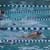 swimming_richender_pixabay com.jpg