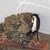 Foto: Glader; Wilhelm/piclease