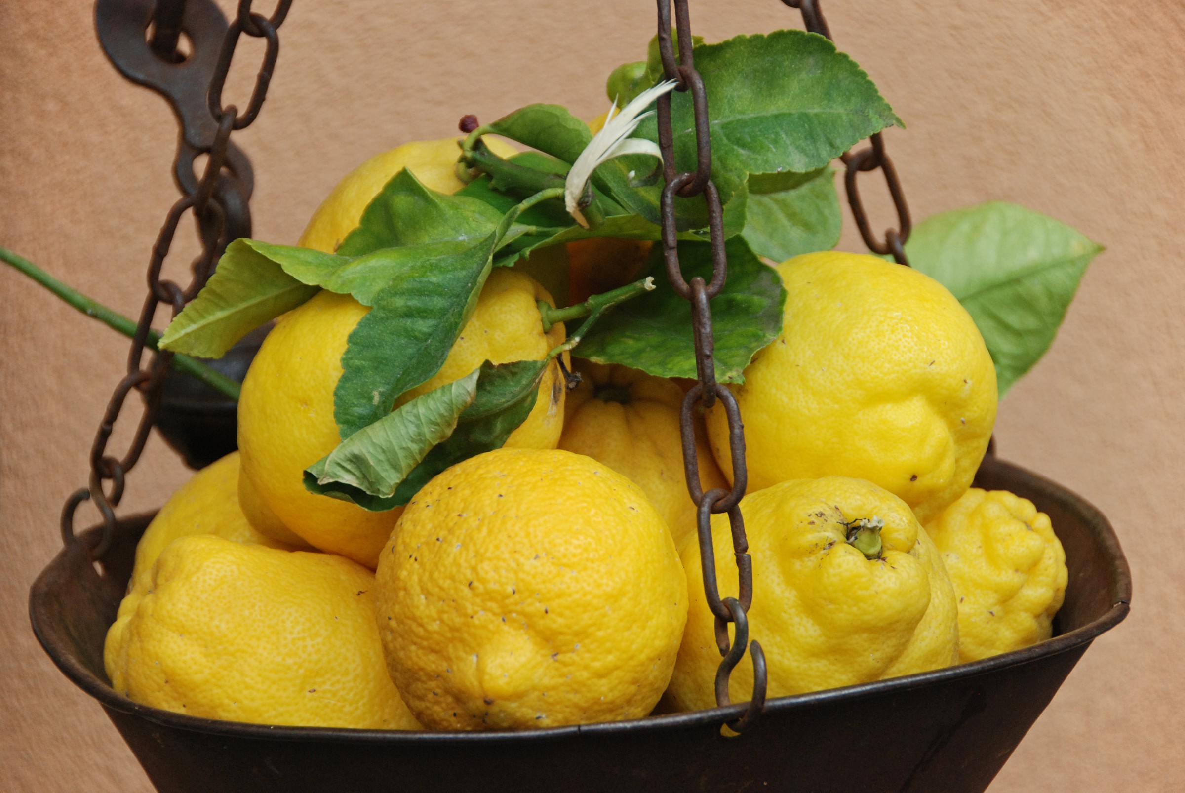 Leider haben wir keinen Alternativtext zu diesem Bild, aber wir arbeiten daran.