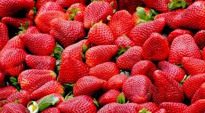 Erdbeeren_robertobarresi_(Pixabay).jpg