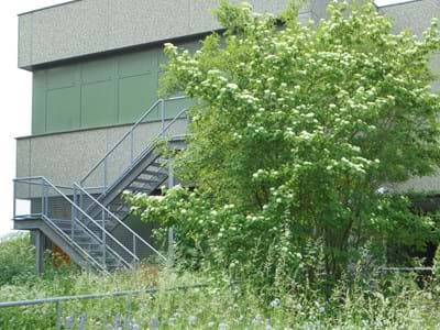 Gymnasium Herzogenaurach.JPG So wie beim Gymnasium Herzogenaurach kann die „grüne Visitenkarte“ eines Unternehmens oder Institution im Landkreis aussehen.