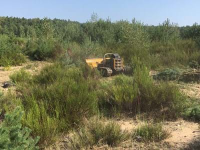 Mulchraupe.JPG