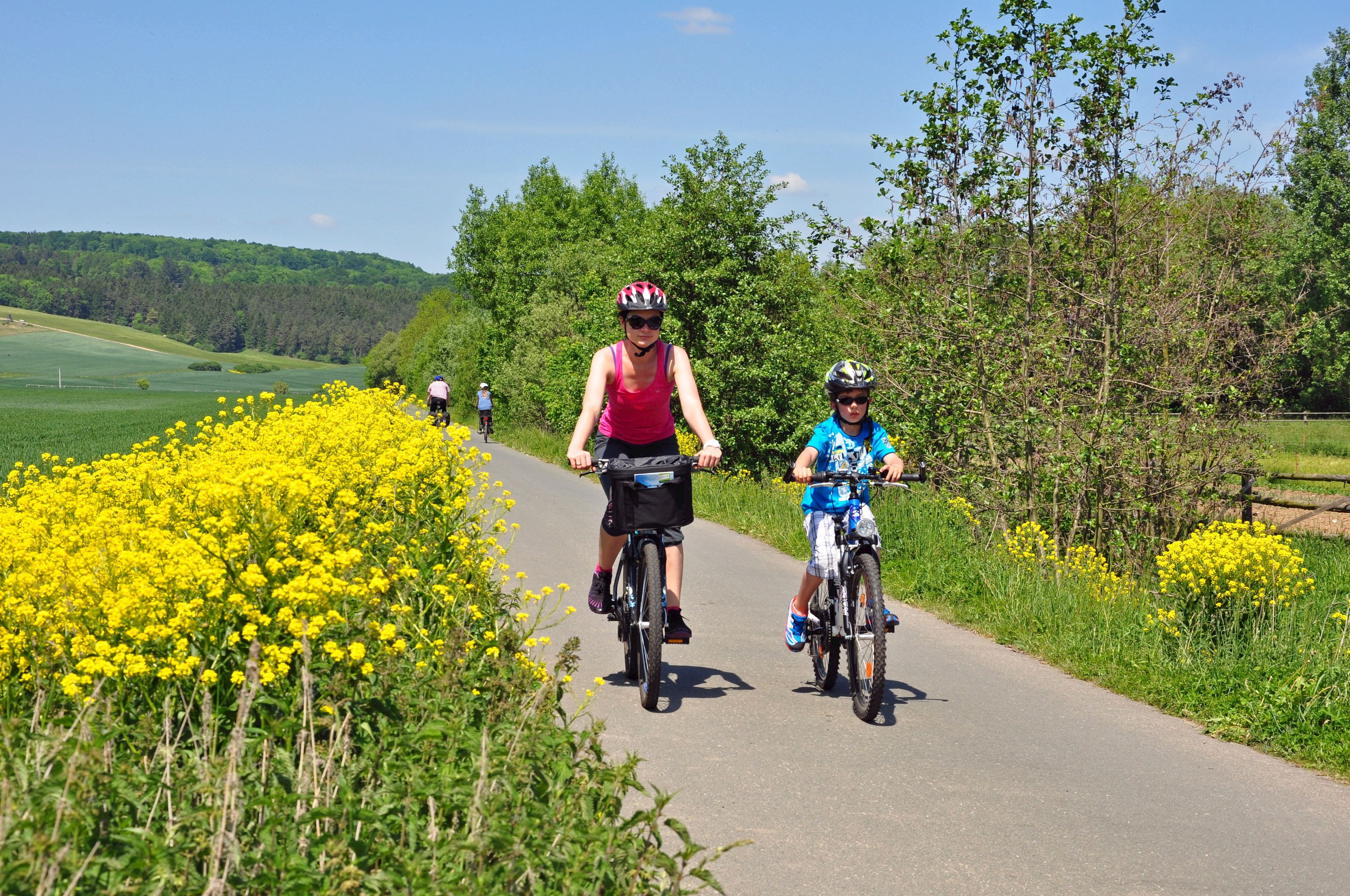 Fahrradklimatest startet: Wie fahrradfreundlich ist Erlangen-Höchstadt?