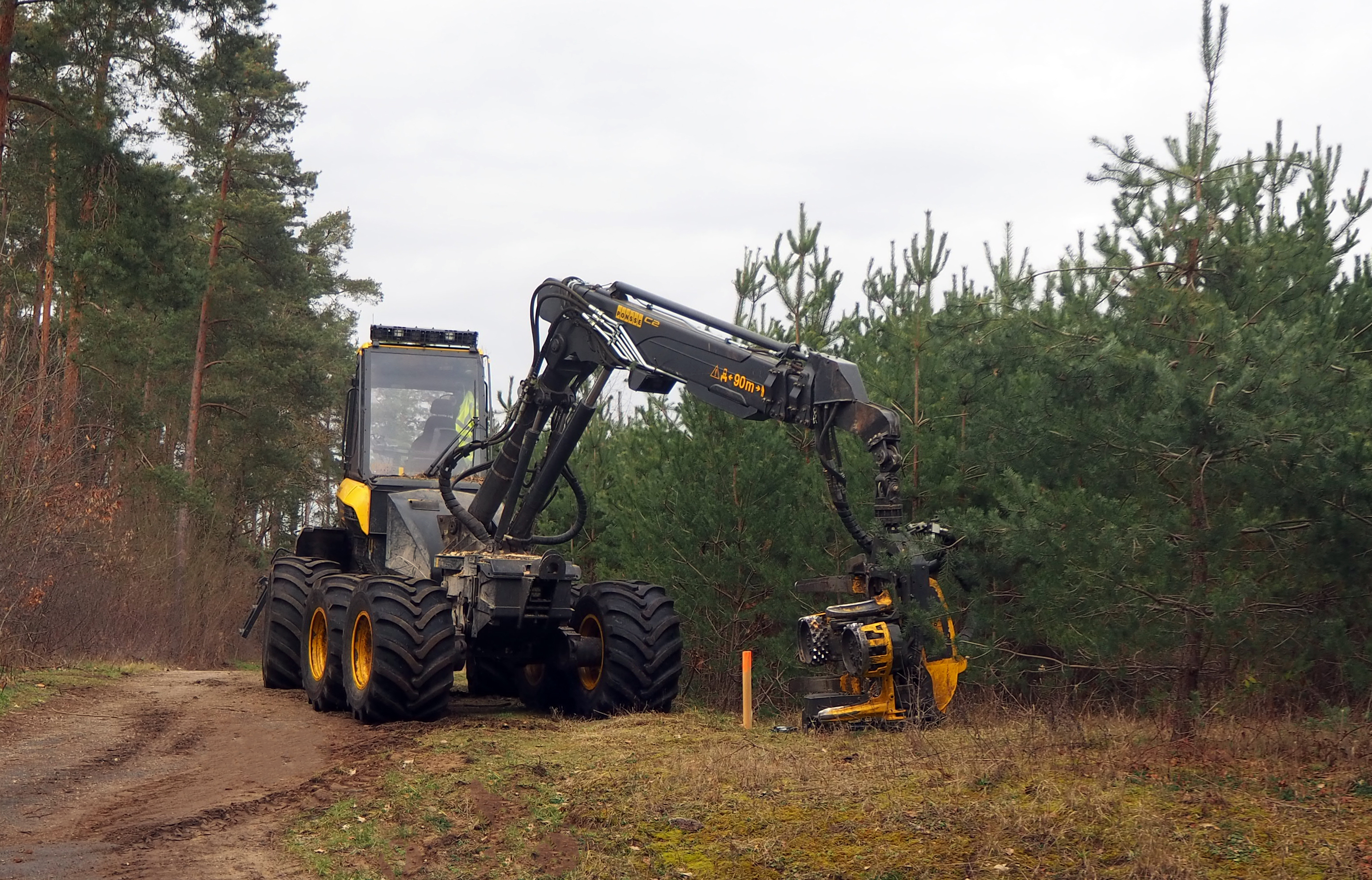 So schnell wie zehn Forstarbeiter: Mit dem Harvester schonend fällen