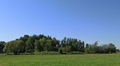 Bild1 zugeschnitten.jpg